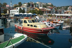 sarıyer_ilaclama_Fare_metkim