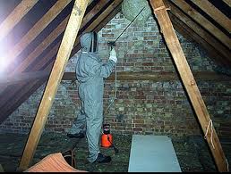 Çatı Faresi ilaçlama