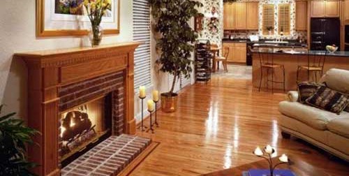 Ev İlaçlama Hizmetleri