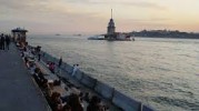 Üsküdar Fare İlaçlama