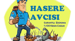 Bursa haşere ilaçlama