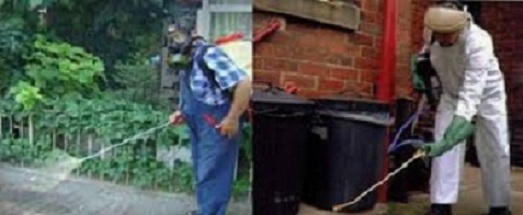 Fare ilaçlamada son nokta