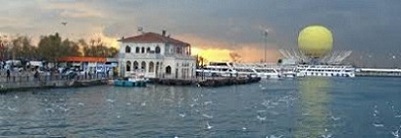 Haşereler Bizi Sevmiyor