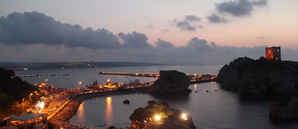 Şile Fare İlaçlama