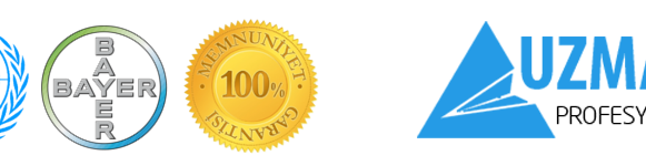 Restaurantlarda Haşere Problemleri