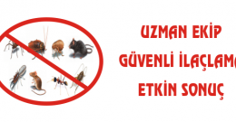 Böcek İlaçlama Doğru Bildiğimiz Yanlışlar